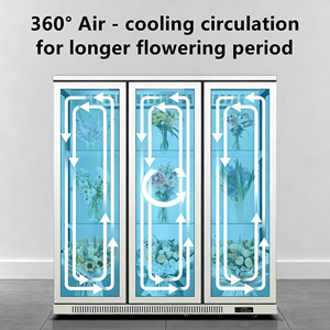 Exhibidor Refrigerado de Alta Calidad para Flores Frescas, Vitrina Refrigerada para Floristería - Product Image 5