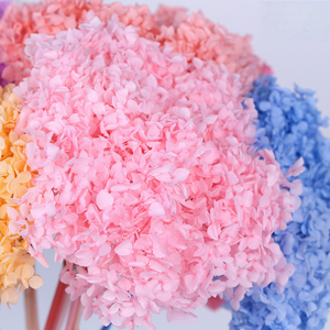 Bán Buôn Khô Tú Cầu Hoa Bảo Quản Nở Hoa Cho Đám Cưới Trang Trí Nội Thất, Home DIY Thủ Công Mỹ Nghệ & Quà Tặng Sắp Xếp - Product Image 5