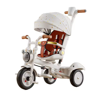 4in1 <strong>Trike</strong> for Kids Cheap Plastic Push <strong>Handle</strong> <strong>with</strong> <strong>Parental</strong> Control for 2-4 Years 3 Wheels Bike Ride on <strong>Trike</strong> - Product Image 3