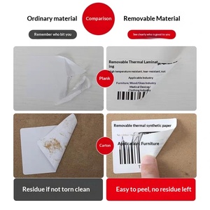 Etiquetas Adhesivas Plateadas Mate Resistentes al Agua y a las Roturas, Etiquetas de Código de Barras de PET para Activos Fijos, Impresión de Etiquetas Plateadas para Equipos - Product Image 6