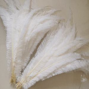 Suministro de fábrica 55-60cm Avestruz afeitado <span class=keywords><strong>Nandu</strong></span> Pluma de avestruz recortada para disfraz de Carnaval Mochilas Milllnery Sombreros Decoraciones - Product Image 2