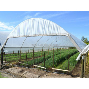 Nuovo Stile di Verdure Agricoli <span class=keywords><strong>UV</strong></span> Trattati Pellicola di Plastica a Effetto Serra per la vendita - Product Image 3
