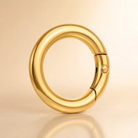 Mousquetons personnalisés en alliage de zinc avec ressort de déclenchement, anneaux en O, connecteurs pour porte-clés, anneaux dorés, accroche-sac portable 50mm 25mm