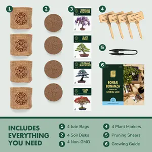 Kit inicial de árvore de bonsai, mini kits de plantio de germinação, caixa de presente de madeira para jardinagem, presente para o dia das mulheres