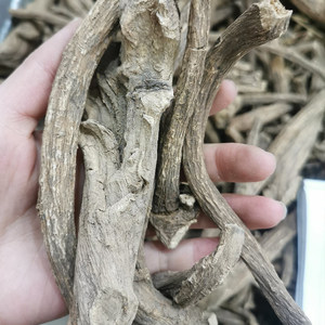 Raíz de Inula <span class=keywords><strong>Helenium</strong></span> (Elecampane) Seca al por Mayor para la Venta - Product Image 5