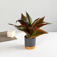 Fleurs artificielles, feuillage vert, petits bonsaïs, ornements décoratifs créatifs, accessoires tendance pour la maison - Direct Jinhua Plants