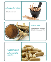 Extrait de racine d'Ashwagandha avec des Withanolides en poudre, ingrédients naturels à base de plantes, complément alimentaire pour la santé masculine