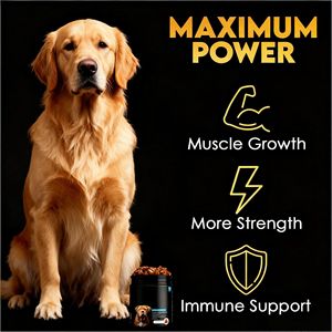 Granulés Souples Riches en Protéines pour Chiens (OEM/ODM) – Complément Alimentaire pour la Prise de Poids et le Développement Musculaire des Animaux, Formes Personnalisables - Product Image 4