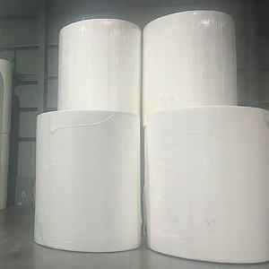 Rotolo Jumbo Grande di Carta Igienica 2-3 Veli, Morbido e Resistente, Materiale Grezzo di Alta Qualità - Product Image 2