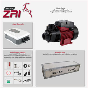 Bomba de Agua Solar Zri Mini Bore, Centrífuga, con Inversor, Motor de CC sin Escobillas, Superficie de Aluminio y Hierro Fundido, Alta Eficiencia, MPPT, 3000L/h - Product Image 5