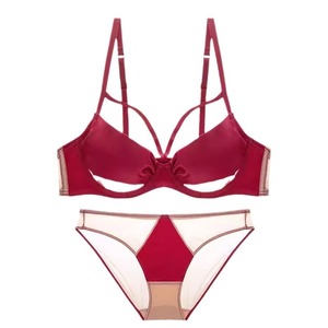 女性用シルクランジェリーセットクイックドライパッド入りブラ調整可能ストラップ付きセクシーシームレスプッシュアップアンダーウェアセット
