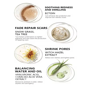 Ensemble de soins de la <span class=keywords><strong>peau</strong></span> du visage à l'acide salicylique en gros, crème, lotion, essence, sérum, cosmétiques, beauté, kit de soins de la <span class=keywords><strong>peau</strong></span> du visage biologique végétalien - Product Image 3