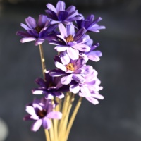 Vente en gros de fleurs artisanales de haute qualité en graines de tournesol véritables pour mariage, Noël, la Saint-Valentin, décoration intérieure, bricolage, fleuriste, sur mesure