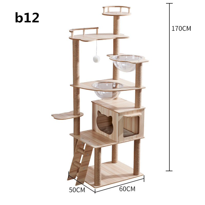 Brown 12