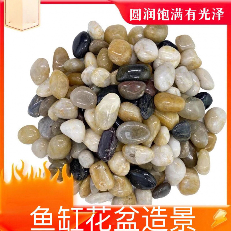 Light color rain flowers-2cm-3cm 050kg dozens