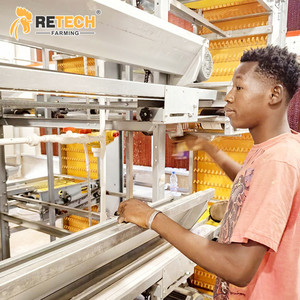 Tốt Thiết Kế Gà Nhà 20000 Chim Tự Động Trứng Đẻ Pin Lồng Hai Lớp Gia Cầm Nông Nghiệp - Product Image 6