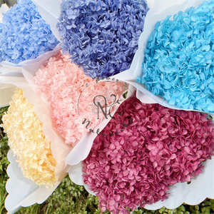 Fleurs d'hortensia Anna stabilisées, les plus populaires et abordables pour la décoration intérieure 2026 – <span class=keywords><strong>Cadeau</strong></span> personnalisé pour la <span class=keywords><strong>Saint</strong></span>-<span class=keywords><strong>Valentin</strong></span>, Noël, la remise des diplômes, couleur sur mesure - Product Image 2