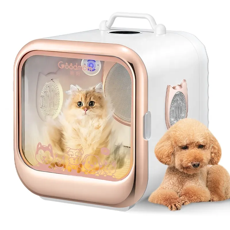 Pet Máy sấy hộp giá nhà máy bán buôn tiếng ồn thấp tự động thông minh Dog Pet Máy sấy phòng cho động vật nhỏ 2000 Wát Pet Máy sấy tóc