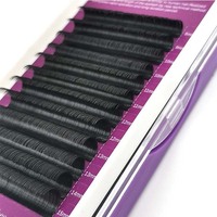 Ensemble de Faux cils en vison, produit cosmétique pour les yeux, Extension pour les paupières, Volume