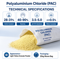 Coagulant PAC (Polyaluminium Chloride) pour la clarification et le raffinage du sucre