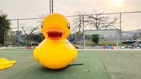 Modèle géant de canard jaune gonflable pour l'extérieur et l'intérieur, pour la décoration publicitaire.