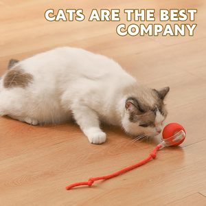 Nouveau design en promotion : Balle interactive intelligente avec accessoires de queue, roule sur tapis, jouet intelligent pour chat, rapide et indestructible - Product Image 2