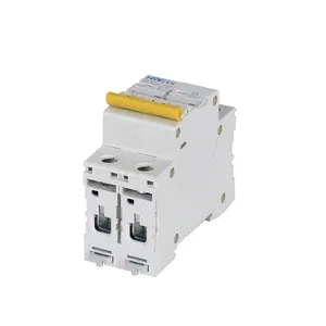 IEC 60898-1 Certificat B Courbe 2 Pôles AC MCB 50A 400V Disjoncteur Miniature