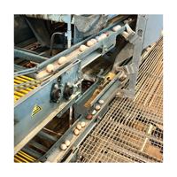 Équipement avicole automatique en acier de type H pour poulailler fermé, neuf en Tanzanie