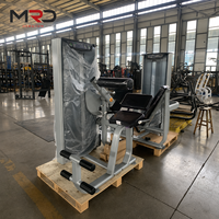 Máquina Comercial de Extensión Lumbar Selectorizada para Entrenamiento de Fuerza en Gimnasios y Clubes de Fitness