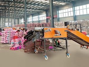 Bán nóng 5cm tỏi trắng tươi bán buôn với giá cả cạnh tranh xuất khẩu tỏi trắng bình thường - Product Image 4