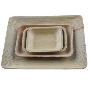Bandeja Rectangular Desechable de Hoja de Palma de 6 x 5 Pulgadas, Plato para Servir Biodegradable Natural, Estilo Casual para Bodas, Marca OEM - Product Image 6