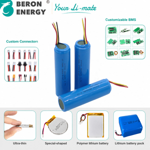 Vente en gros usine – Pack de cellules cylindriques LiFePO4 21700 de 4800 mAh pour brosse à dents électrique et équipement d'alimentation – Batterie lithium-ion - Product Image 2