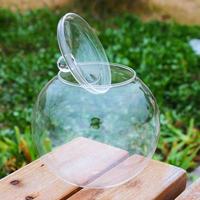 Mini bouteille droite avec couvercle en acrylique, bouteille en verre écologique pour micro-paysage de mousse, vase hautement transparent