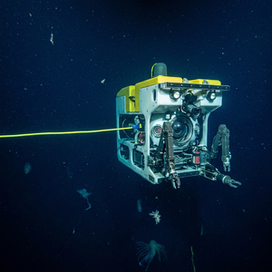 Cable de flotación neutra PrimePro ROV |   Clasificado para Profundidad de 500 m |   Reforzado con Kevlar |   Flotabilidad Cero para Robótica Subacuática Profesional - Product Image 4
