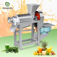 Tomatencactus Ananas Zuurzak 2020 Industriële Handmatige Koude Pers Vruchtensap Proces Extractiemachine