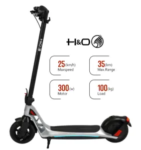 Fast Dispatch Smart Foldable Adult Electric Balance Scooter 300w Electric Scooter With Brushless Lithium Battery