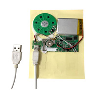 8MB MP3 WAV USB Descargable DIY Tarjetas de audio Programable Talk Chip Módulo de sonido musical Botón de control Caja de batería AA + Regalo