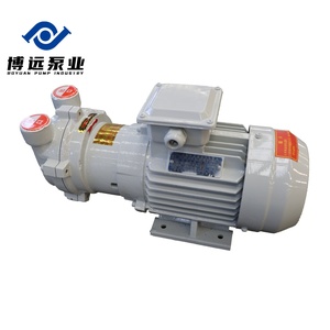 Pompe à vide à anneau liquide/eau horizontale BOYUAN 2BV2061, haute performance, économie d'énergie, personnalisable OEM, moteur triphasé - Product Image 5
