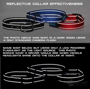 OEM Fashion Reflective <b>Dog</b> Training <b>Collar</b> Soft Adjustable Neoprene Padded Nylon Martingale Pet <b>Dog</b> <b>Collars</b> for <b>Small</b> <b>Dogs</b> - Product Image 3