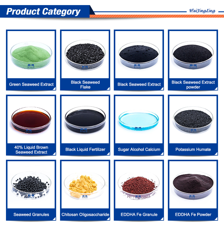 Organic fertilizer for sugarcane 40% alginate organic fertilizer is rich in cytokinin, mannitol and betaine