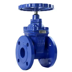 China Factory PN16 8 inch flanged BS5163 General Ductile Iron Water gate valve