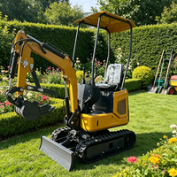 Mini-excavatrice à chenilles avec moteur Kubota, certifiée Euro 5CE EPA, avec pince, pour aménagement paysager de jardin - Livraison gratuite