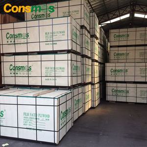 Консмос 13-слойный фенольный эвкалипт, тополь, комби, пленка, облицованная фанерной панелью, цена - Product Image 4