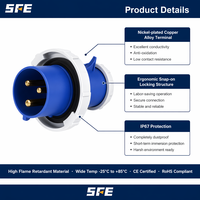 Prise et Fiche Industrielles SFE Haute Qualité 32A 220-240V~2P+E 6h Mâle-Femelle en Cuivre, Niveau IP44, 3 Prises, Vente en Gros