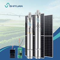 SHIYUAN Pompe Immergée Solaire Grand Débit Robuste 1 Pouce 250 Watts 24V 100M Puits Profond Pompe à Eau Submersible Solaire à Vis