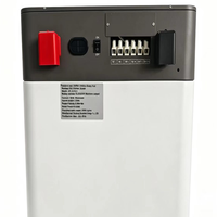 Batterie solaire au lithium compacte 16 kWh 48 V, pack de batteries LiFePO4 51,2 V pour stockage d'énergie résidentiel – Grande vente en Asie du Sud-Est