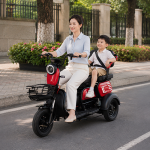 Scooter Eléctrico de 3 Ruedas, <span class=keywords><strong>Triciclo</strong></span>, Buen Precio, Vehículo Eléctrico de Pasajeros de 48v/60v, Suministro de Fábrica - Product Image 2