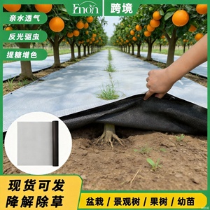 Toile de paillage F300 pour vergers, 80g, anti-UV, noir et blanc, pour citronniers et cerisiers - Product Image 3
