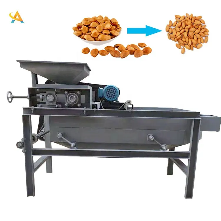 Machine de découpe d'écrous aliments certifié, haute qualité en acier inoxydable, traitement et fabrication
