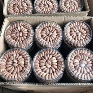 Anacardos Tostados Salados Crujientes de Vietnam, Snack Premium, Venta al por Mayor, Directo de Fábrica, Proveedor de Exportación - Product Image 1